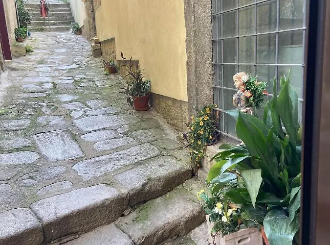 Apartment Ribeira Art Terrace Porto